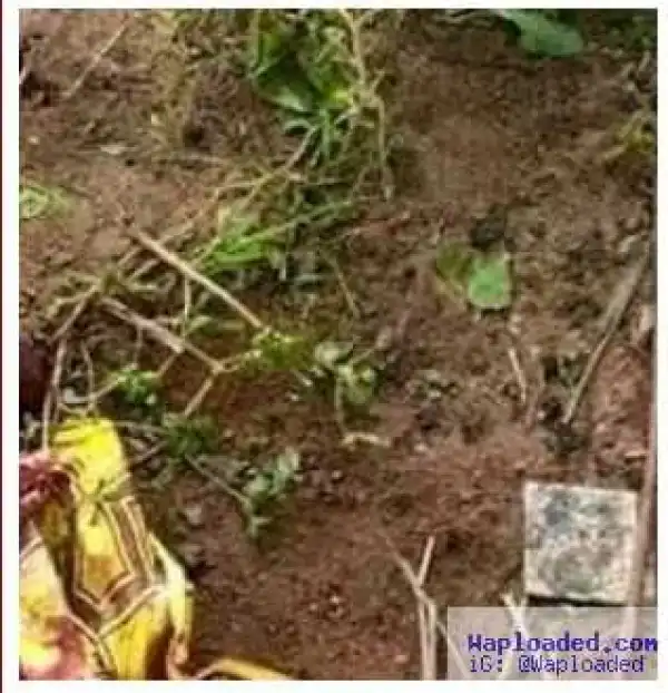 Shocking! Couple Cut Off their Newborn Baby